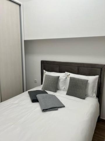 Apartament Centar Ns 5 Nowy Sad Zewnętrze zdjęcie