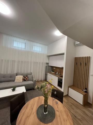 Apartament Centar Ns 5 Nowy Sad Zewnętrze zdjęcie