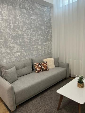 Apartament Centar Ns 5 Nowy Sad Zewnętrze zdjęcie